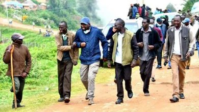 Photo of We will not allow Forgery at the senate: Murkomen