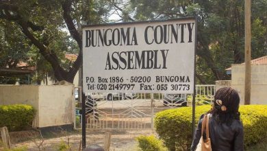 Photo of Bungoma MCA’s in a near fist fight over house leadership as Florence Wekesa survive impeachment