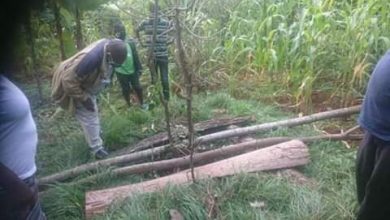 Photo of Miracle as A man in Chuka found alive after 13 days in a 60ft pit