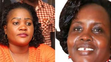 Photo of Odm senators Beatrice Kwamboka and Mary Senata fight in parliament