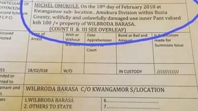 Photo of Busia man jailed for damaging a lady pants worthy 100/