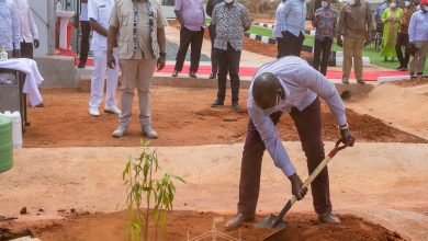 Photo of The Presidency bonding in Tsavo, elicits mixed reactions from Kenyan.