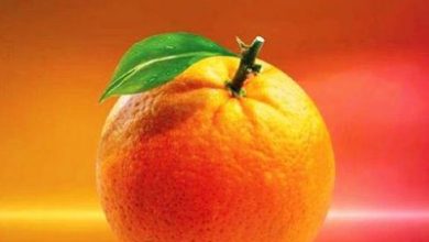 Photo of Odm cracks whip on MCAs as it threatens to recall nominated members