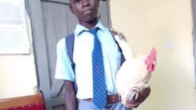 Photo of Saboti Mp  Caleb Amisi pays school fees for a student who showed up at school with a cock as fees.