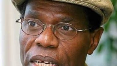 Photo of Koigi Wa Wamwere: 10 Reasons why I will not vote William Ruto for president