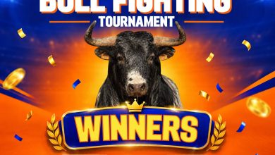 Photo of UndaBet Mashinani Bullfighting Tournament Delivers Drama as Tunje, Italanyi Upset Favourites in Malinya