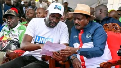 Photo of The Lavington Declaration: Why Politics is About Passion, Not Technicalities